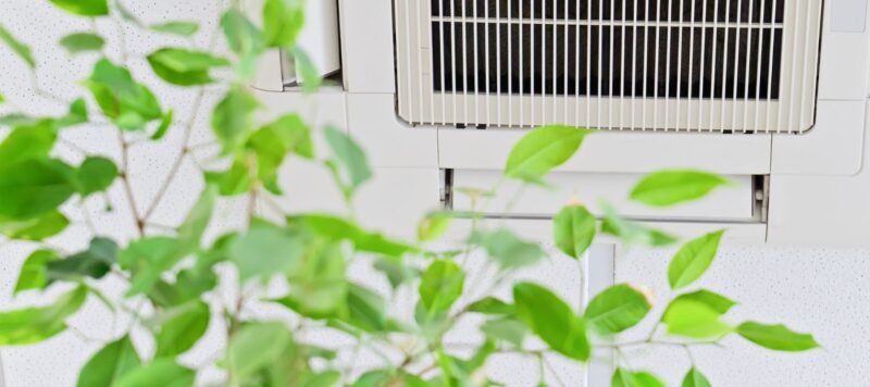 a plant growing with an air vent above it